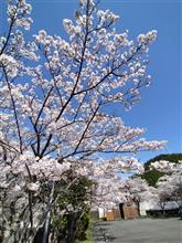 日本の美
