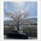 🌸リベンジ撮影してきました ...