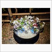 希望の光～花手水ライトアップ