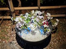 希望の光～花手水ライトアップ