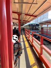 桜が見たかったので🌸柳川〜太宰府へまいる⛩☺️🌸part②