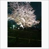 &#39;22 野良猫日記 其の五十 ...