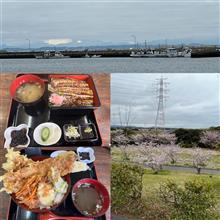 富津で「はかりめ」！