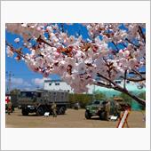 米子駐屯地の花見開放
