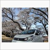 種松山公園西園地の桜
