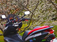 今日はバイク通勤
