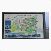 手柄山で運動とお花見
