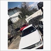 車検。