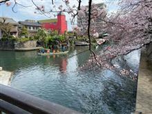 桜巡礼”聲の形”と”おあむ物語” @ 岐阜県大垣市オリジナルアニメ