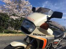 SAKURA 2022