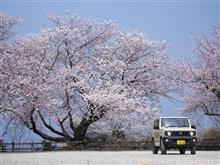 ジムニーでぶらととち桜旅(15日目 兵庫から林道来日線など) ジムニーでぶらととち桜旅(15日目 兵庫から林道来日線など)