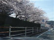 第九百六十八巻　道の駅巡り🌸