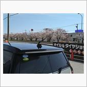 花見気分で免許更新。
