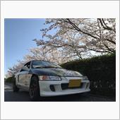 花見