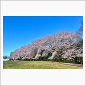 同じ場所で