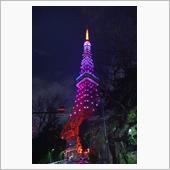 三月末の夜桜と東京タワーとフ ...