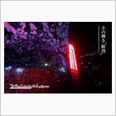 夜桜シリーズ！デモカーハイエ ...