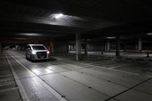 自粛中・・・写真の整理