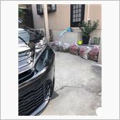 洗車日和に庭の手入れ(^^;;