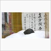 今日は