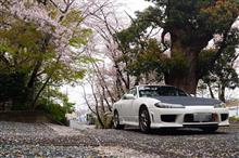 東三河に松田さんがやってきた。