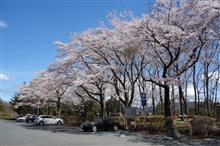 2022-04-05 長瀞～秩父の桜
