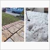 自宅前は春🌱、自宅裏は冬⛄