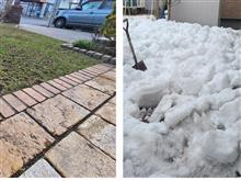 自宅前は春🌱、自宅裏は冬⛄