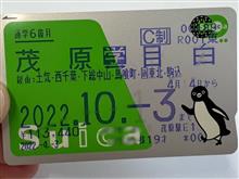 土曜日お早うございます