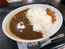 本日のお昼ごはん、連続カレー生活９日目