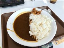 本日のお昼ごはん、連続カレー生活１０日目