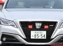 新型覆面パンダ