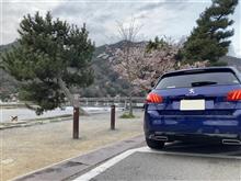 花見Drive 2022春