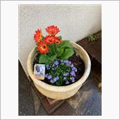 玄関先にお花を