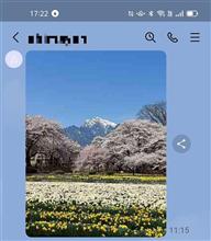 ひとりごと・・・・北杜の神代桜を見に行こう! ひとりごと・・・・北杜の神代桜を見に行こう!