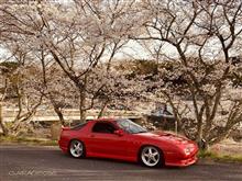 FCの助手席レカロシート&My FC3Sと桜2022 FCの助手席レカロシート&My FC3Sと桜2022