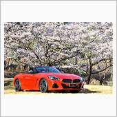 桜ドライブ2022第二弾　～ ...