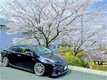 愛車と桜の記念撮影