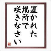 置かれた場所で咲きなさい。