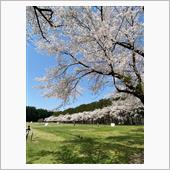 那須　千本松牧場にて❣️