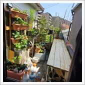 ベランダ菜園増設✨