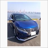 今日も朝から。