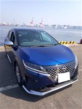 今日も朝から。