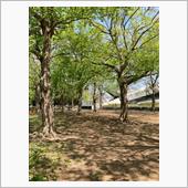 自転車散歩（駒沢公園）