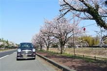 卯月の拾壱