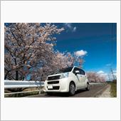 通勤途中の桜