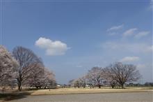 久しぶりに「下野国分寺」「下野国分尼寺」「下野国庁」跡へ。（2/3）