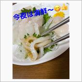 ヒラメとイカ🦑刺しで、美味 ...