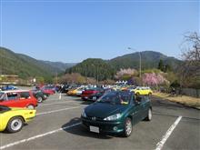 高雄サンデーミーティング後、桜徘徊 高雄サンデーミーティング後、桜徘徊