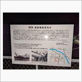 もの凄く悪いきつね💢💢